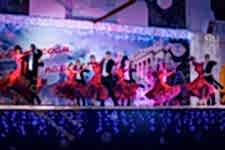 Пошив платьев для бальных танцев изображение 1